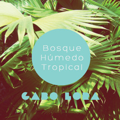 Bosque Húmedo Tropical