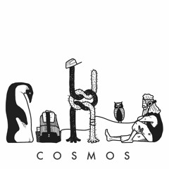 Cosmos