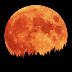 Why ii love the moon (PHONY PPL cover)