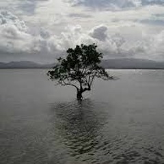 Of The Forest and The Sea (Danielle's Song)