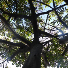 Vibes - Love and Death's sounds (ENERGY Home record)