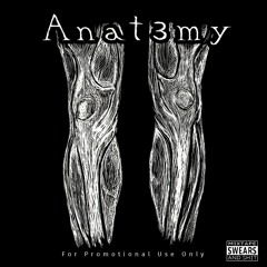 Life Is New - Reese Heartfelt