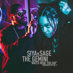 Watch What You Say (feat. Sage the Gemini)
