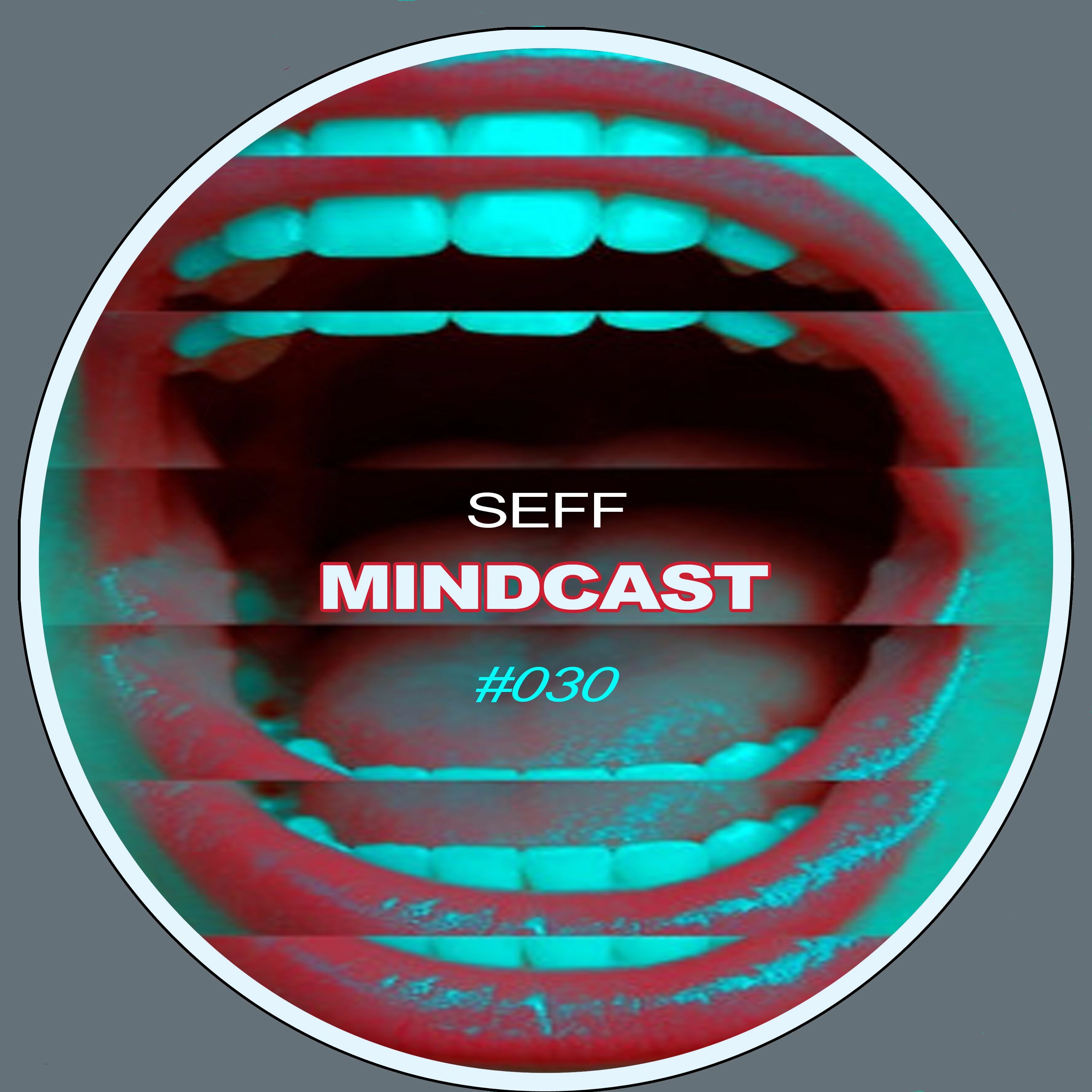 SEFF - Mindcast #030 episode artwork