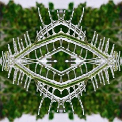 Detach by Freddie Meagher