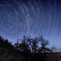 Sarah McVeigh meets the Aussie dudes brewing ayahuasca