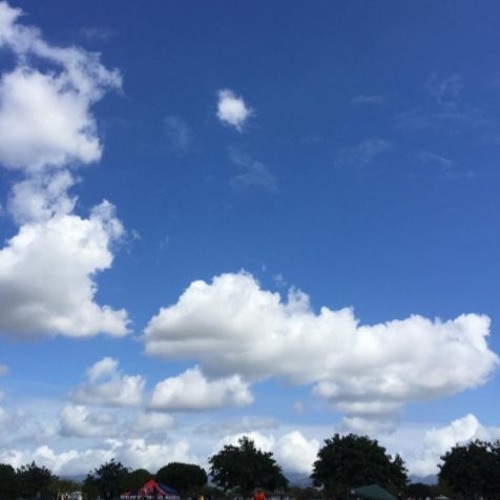 Nightcore - Summer - Calvin Harris