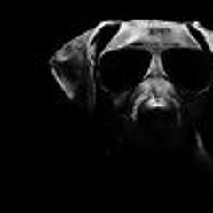 Dog On EM BLAZE CARTER