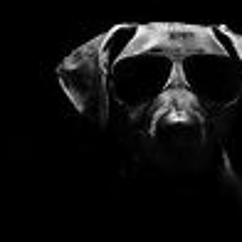 Dog On EM BLAZE CARTER