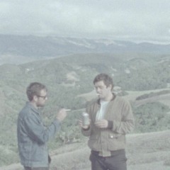 Valley (VllY) - Seedling