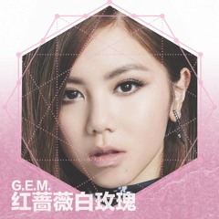 Tường vi đỏ Hoa hồng trắng - G.E.M. Đặng Tử Kỳ