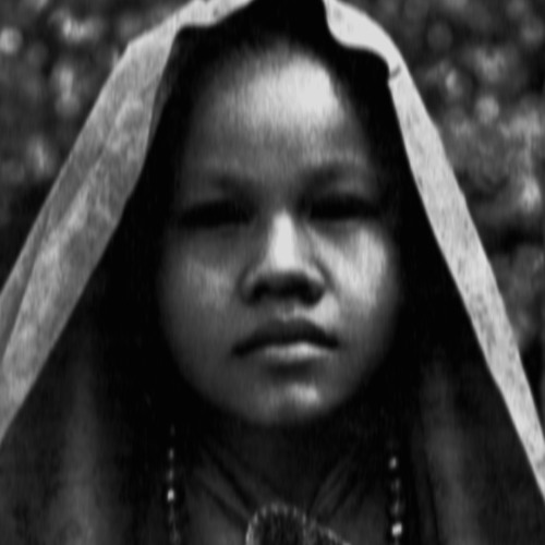 setengah darah