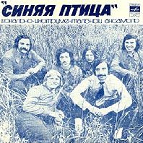 Синяя Птица - Клен