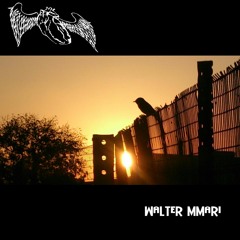 Chasing The Sun (Music Video link in Description)