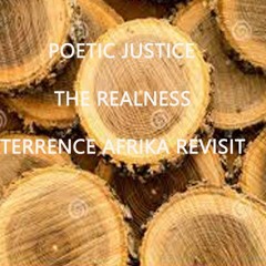 Poetic  Justice The Realness-The Terrence Afrika Remix