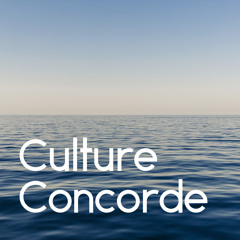 Mixtape Culture Concorde by L4YR
