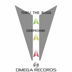 DEEP RONIN - Thru The Bugs (Original Mix)