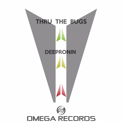 DEEP RONIN - Thru The Bugs (Original Mix)