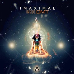 IMAXIMAL - INSADE DMT 135 C 2015 Preview