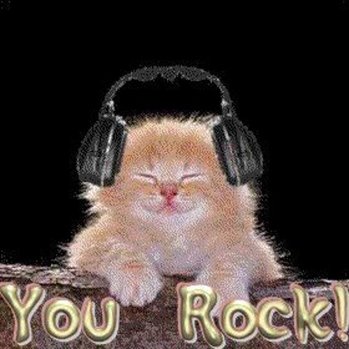 Котик в наушниках мем