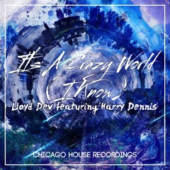 Lloyd Dev, Harry Dennis - It's A Crazy World (I Know) (Original Mix)