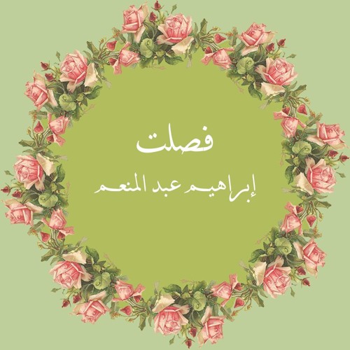 41- فصلت - ابراهيم عبد المنعم