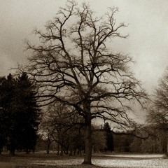 TROY THOMPSON - 'Don't Say...I Never Loved You'