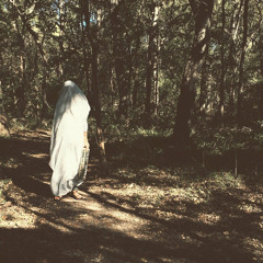 The Night I Believed