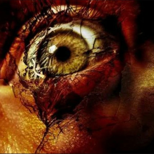 VISH-ONARY (DSR AXC)