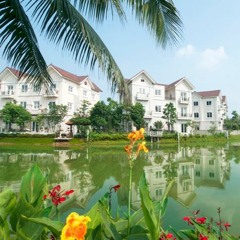 Tiếng hai đêm - Quang Lê