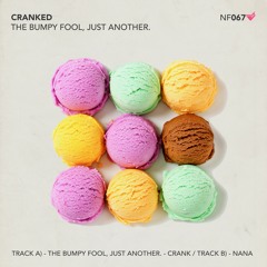 [FREE DOWNLOAD] Bumpy Fool, Just Another.  - Goes Like This