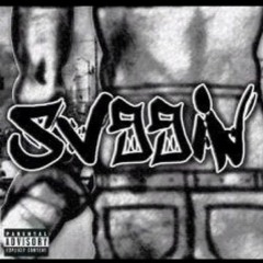 ZigZvg For President