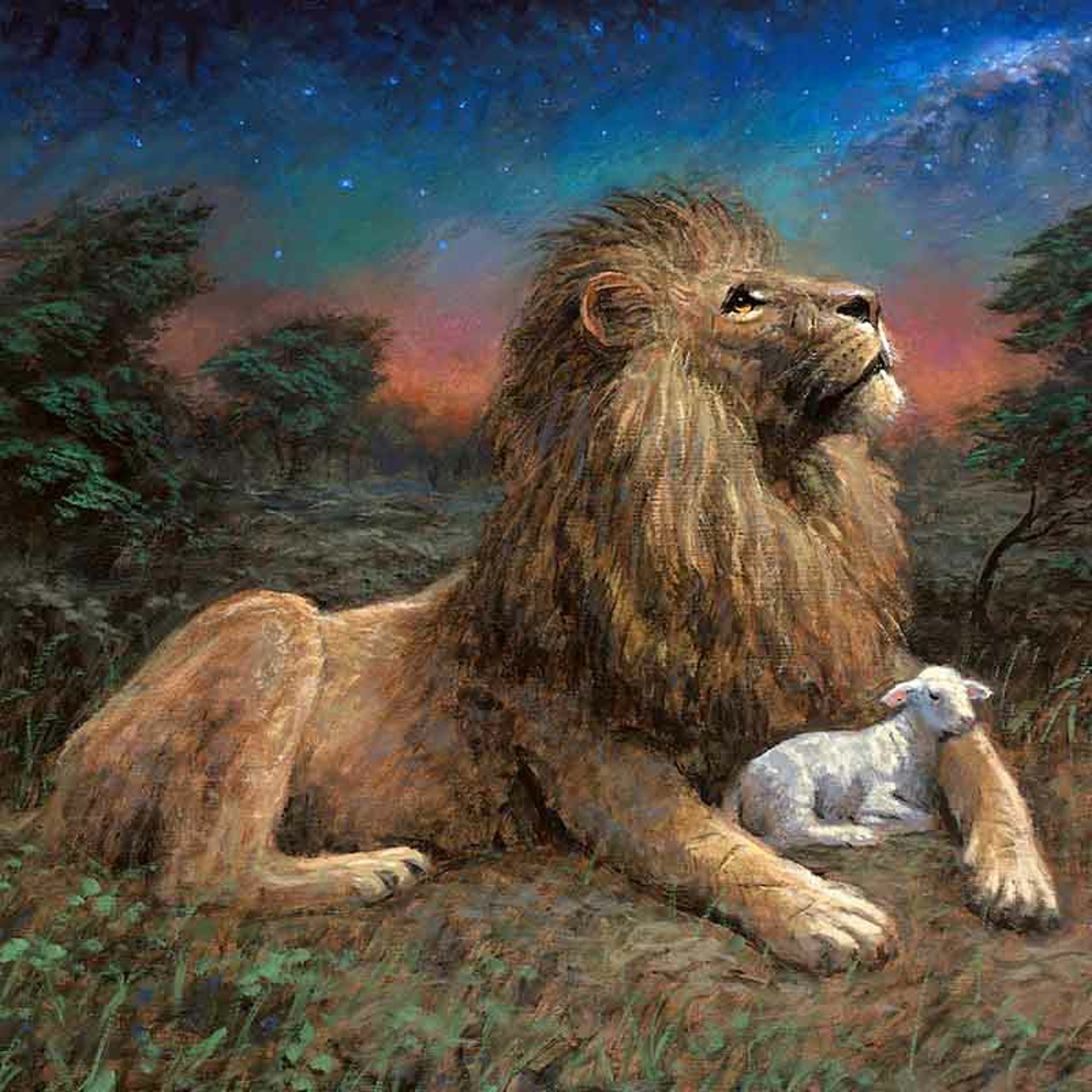 Homilia Diária.400: Sexta-feira da 2.ª Semana do Advento - Os paradoxos do Cristianismo episode artwork