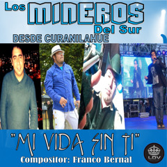 Mi Vida Sin Ti - Los Mineros Del Sur (Prod. LDV Records) 2016