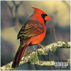 Cardinals ft. OMARtheGroove