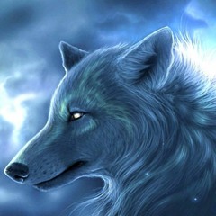 Crazy Wolf