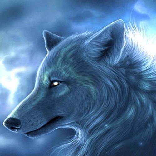Stream Crazy Wolf by Wolf Pack | Listen online for free on SoundCloud
