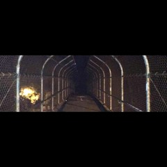 Chef Dicaprio X Hermy - Find a Way