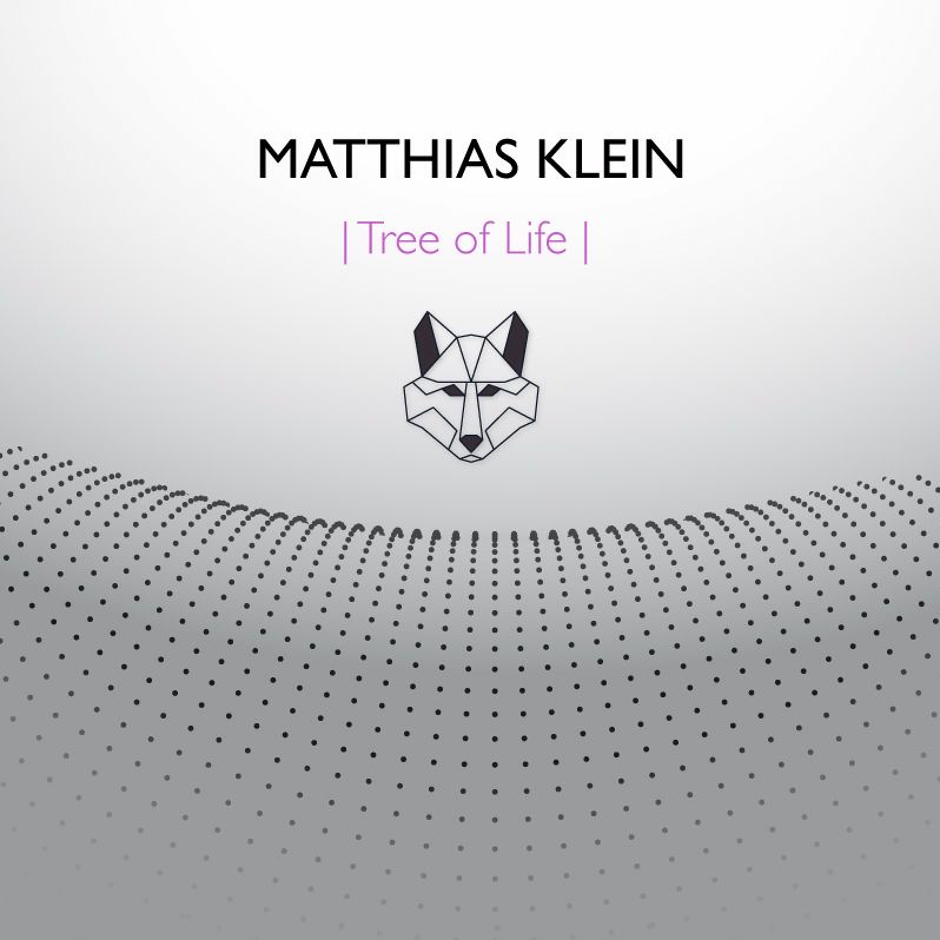 Matthias Klein