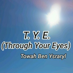 T.Y.E. Through Your Eyes.mp3