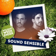 Sound Sensible - Power Flower Picnic 2016