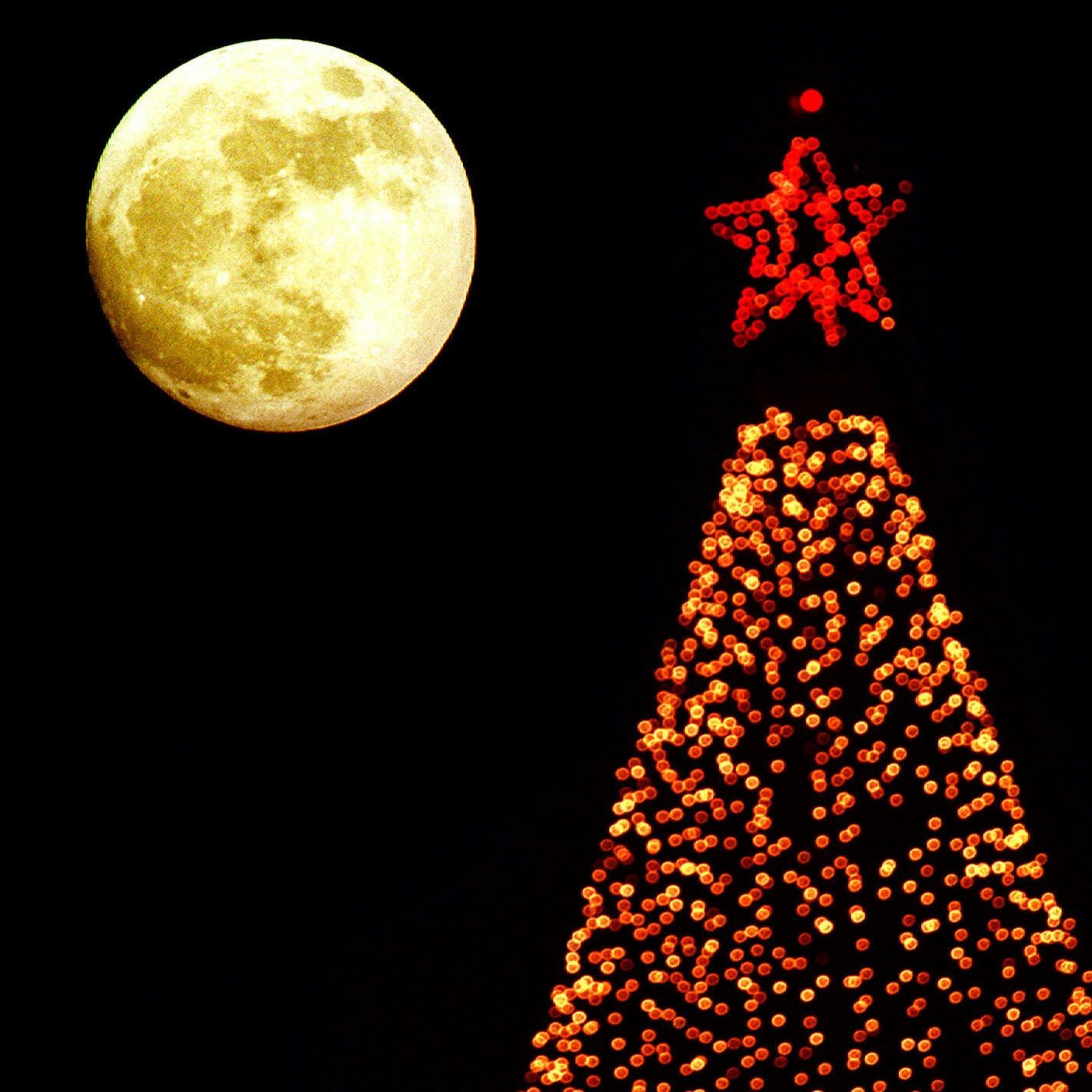 Christmas Moon episode artwork