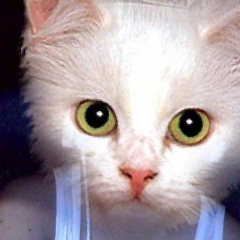 Magluluto pa rin ako ng para sa dalawa