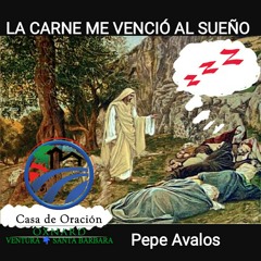 La carne me venció al sueño - Pepe Avalos