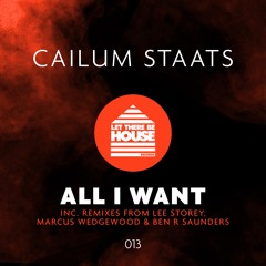 Cailum Staats - All I Want (Lee Storey Remix)
