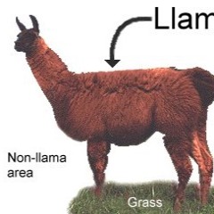 Evil Eye (Live Demo)