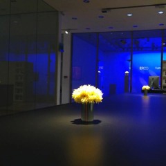 The Blue Room