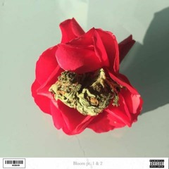 M X D U X A - Bloom Pt.1 (Ft. Lb Zip)