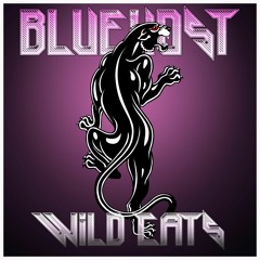 Bluehost - Wild Cats