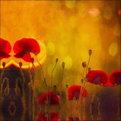Blood Light